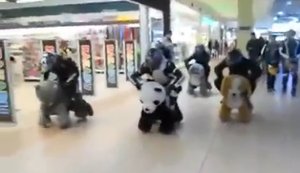Tierisches Rennen im Einkaufszentrum